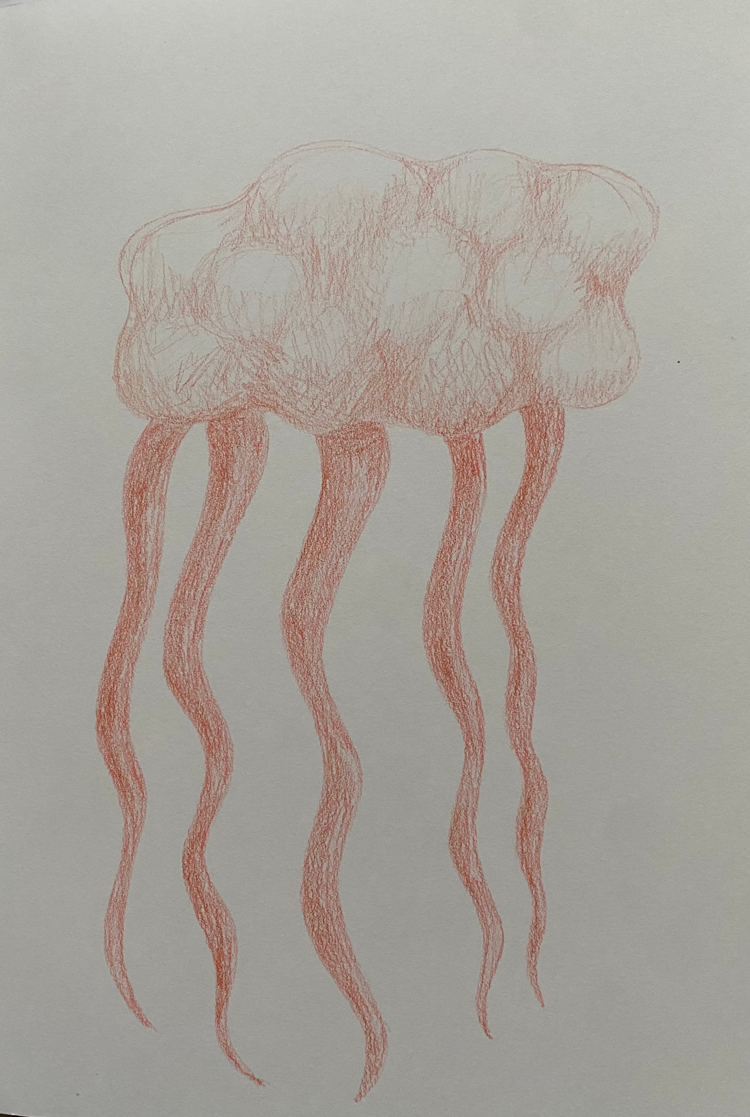 Artpiece by Karen Oude Alink. Made with Color pencil materials and the sizes are: 20x30.